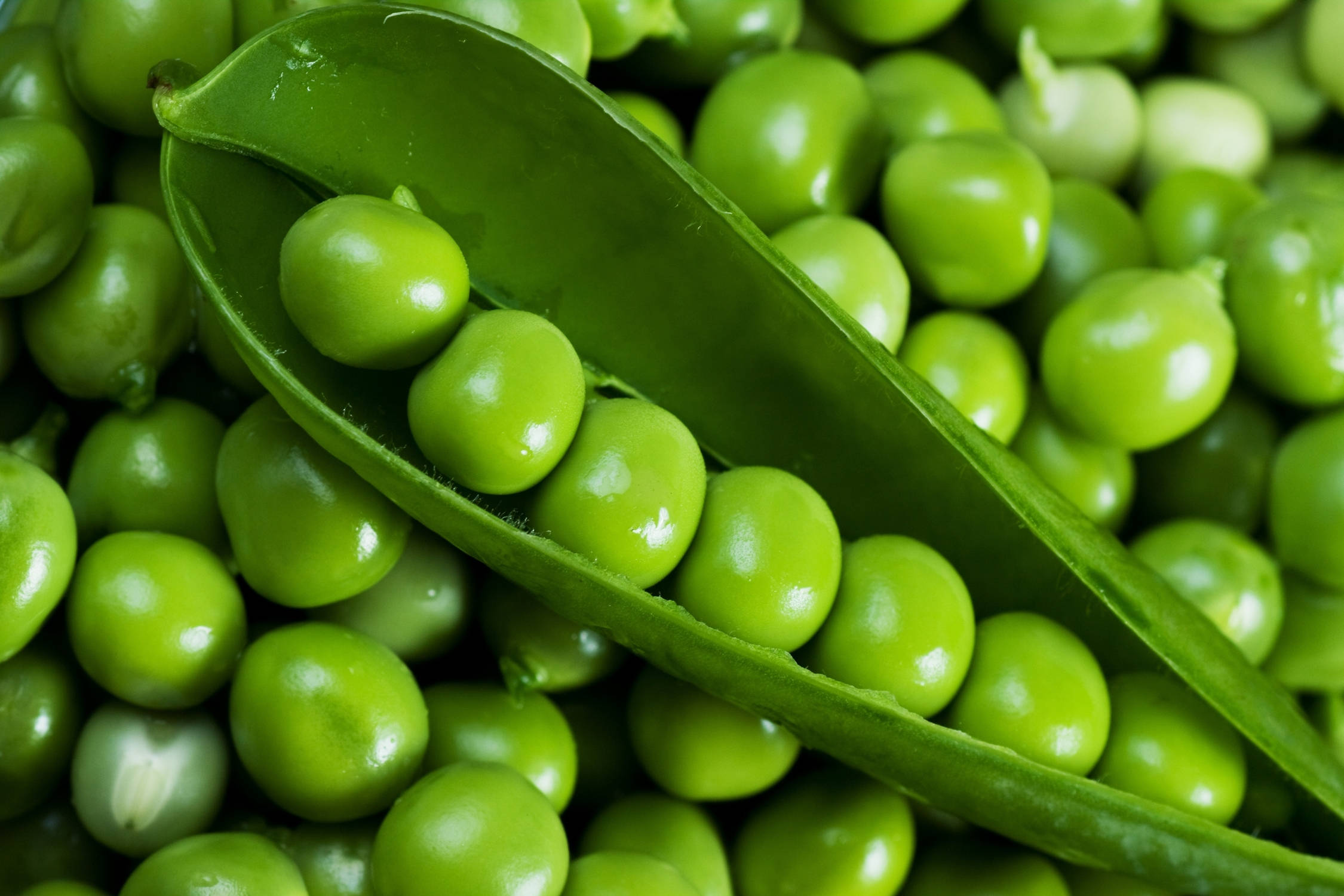 green peas, pod, close-up, Full HD Desktop Wallpaper