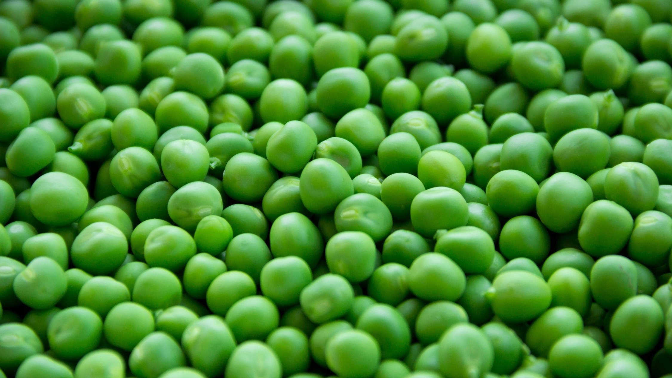 green peas, top view, soft natural lighting, Full HD Desktop Wallpaper