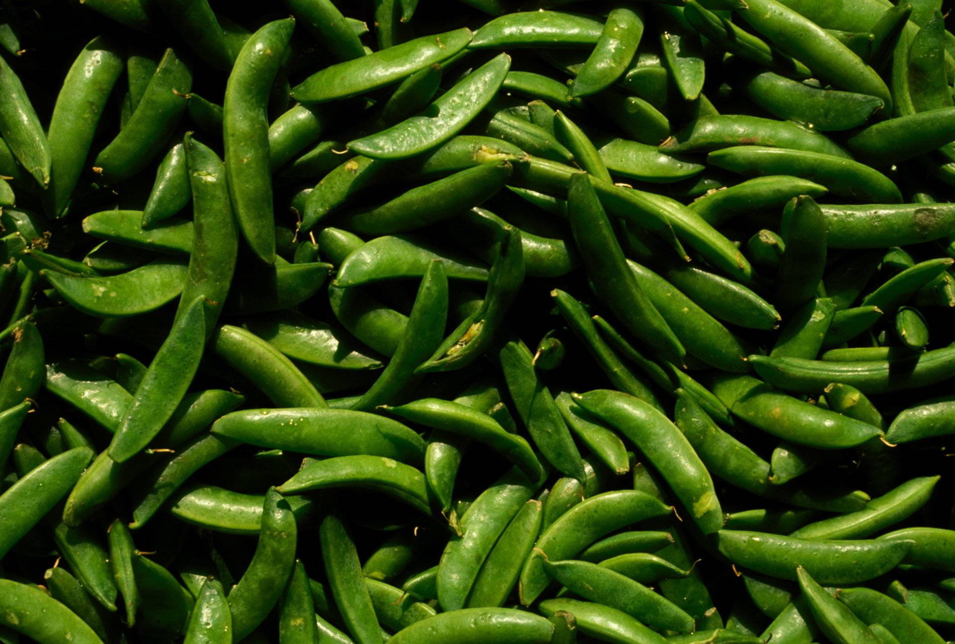 green pea pods, dew drops, bright light, Full HD Desktop Wallpaper