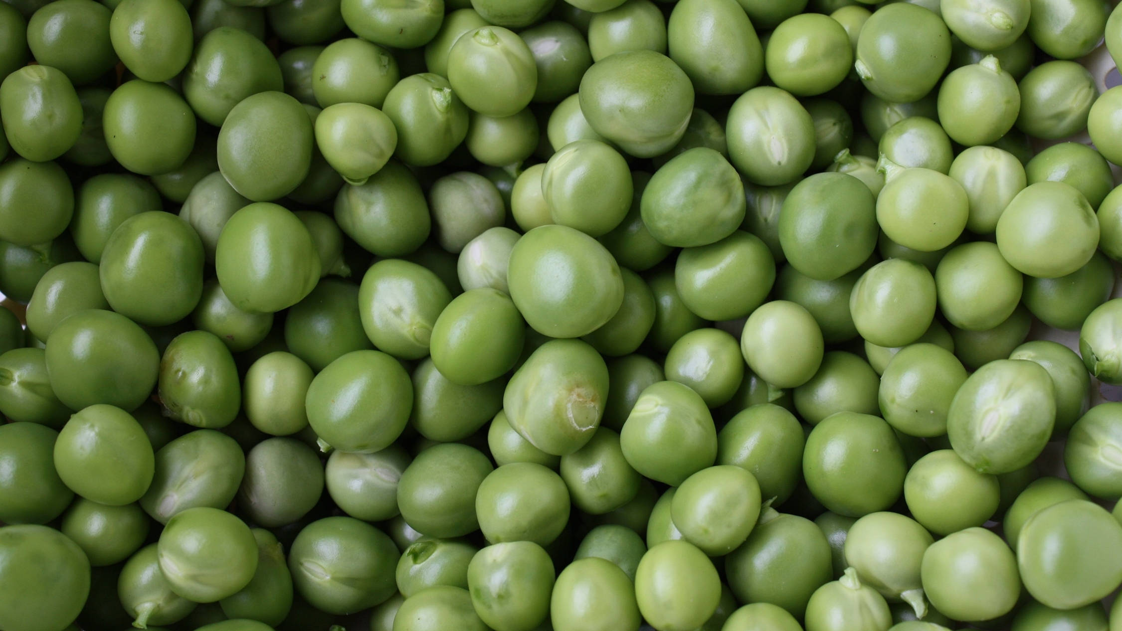 green peas, glossy surfaces, natural imperfections, Full HD Desktop Wallpaper