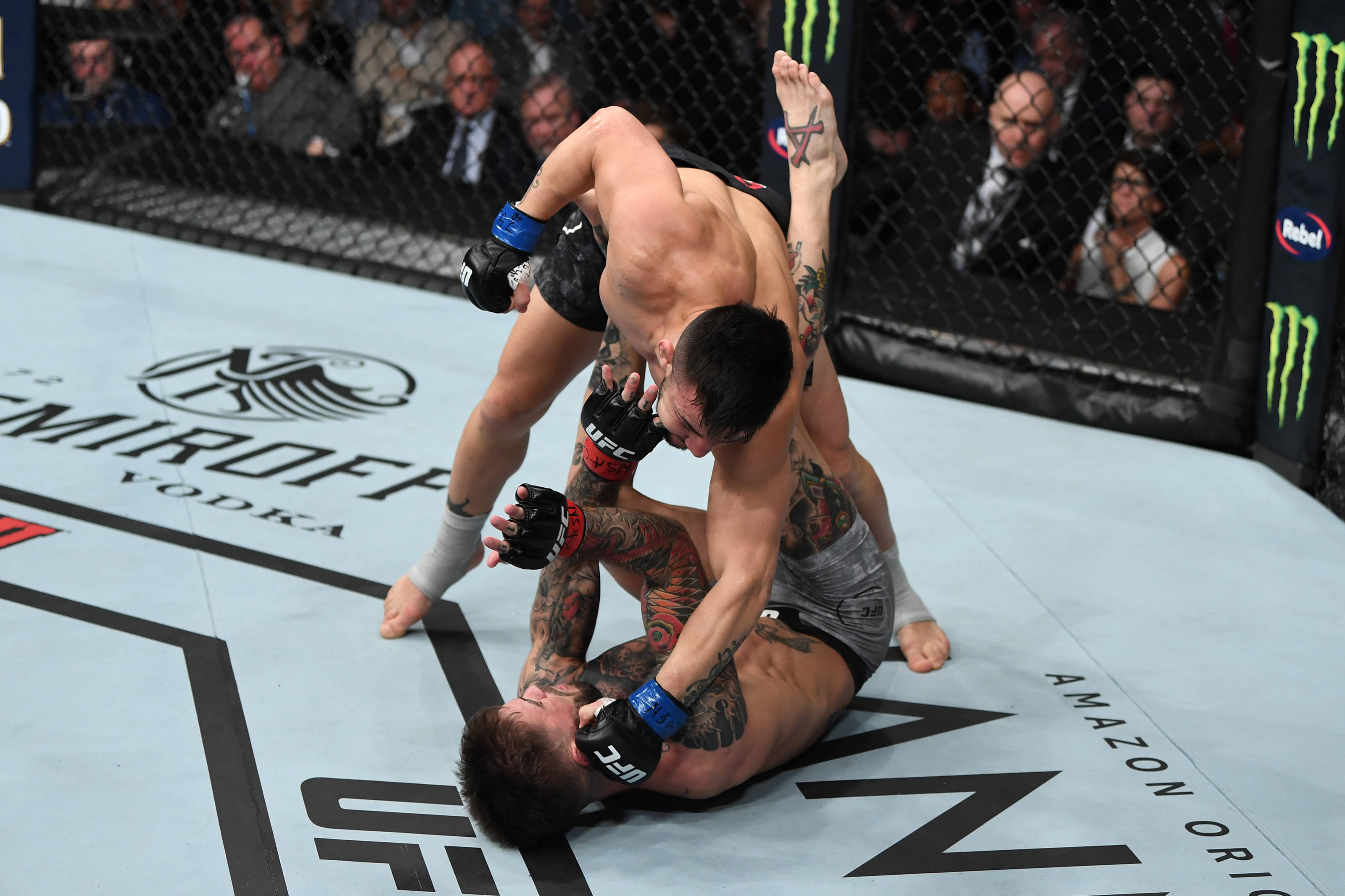 Pedro Munhoz, MMA fight, cage, 2K Desktop Wallpaper