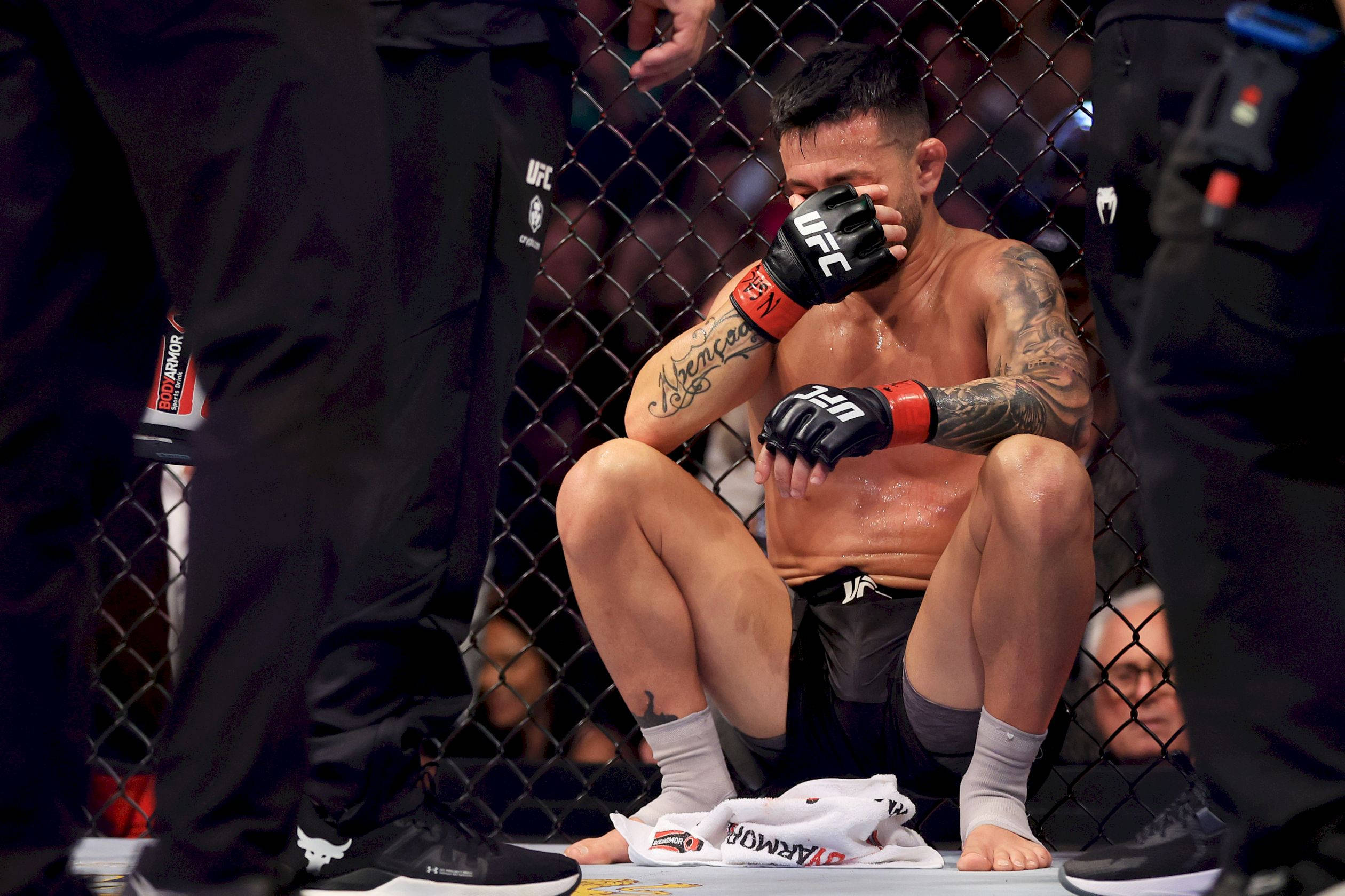 Pedro Munhoz, MMA fighter, cage fence, Full HD Desktop Wallpaper