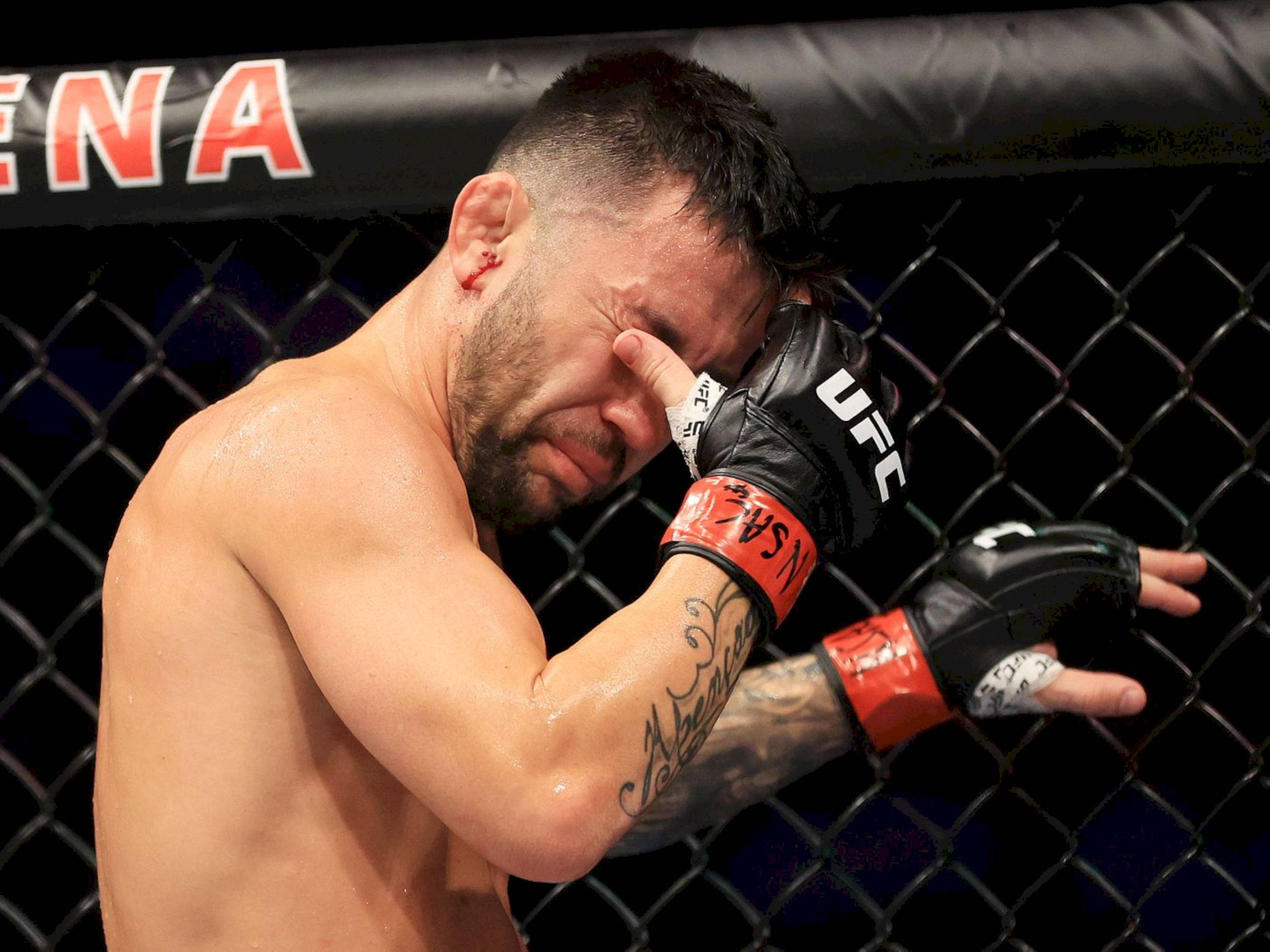 Pedro Munhoz, UFC gloves, octagon fence, Full HD Desktop Wallpaper