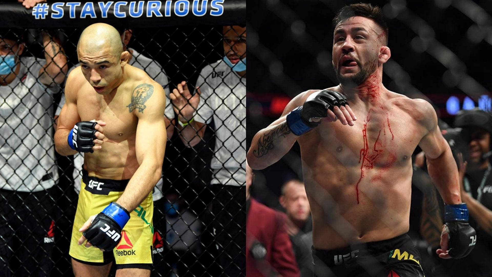 Pedro Munhoz, UFC fighters, octagon, Full HD Desktop Wallpaper