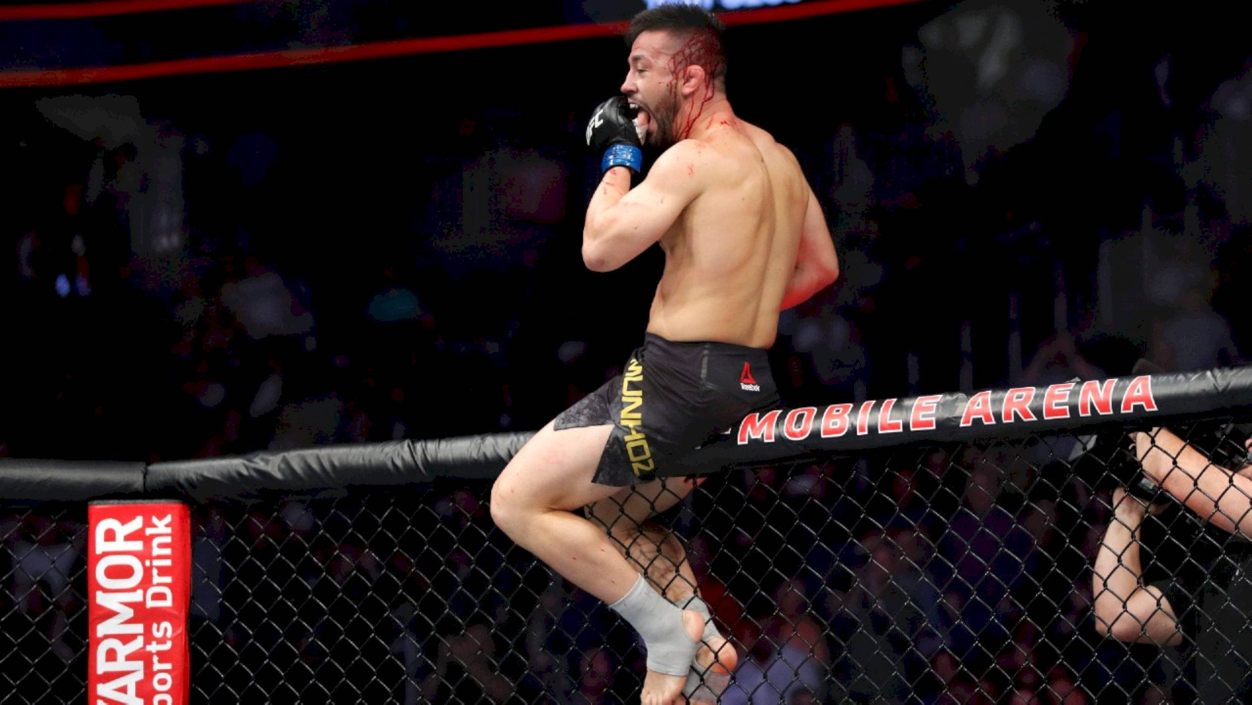 Pedro Munhoz, MMA fighter, cage fence, Full HD Desktop Wallpaper