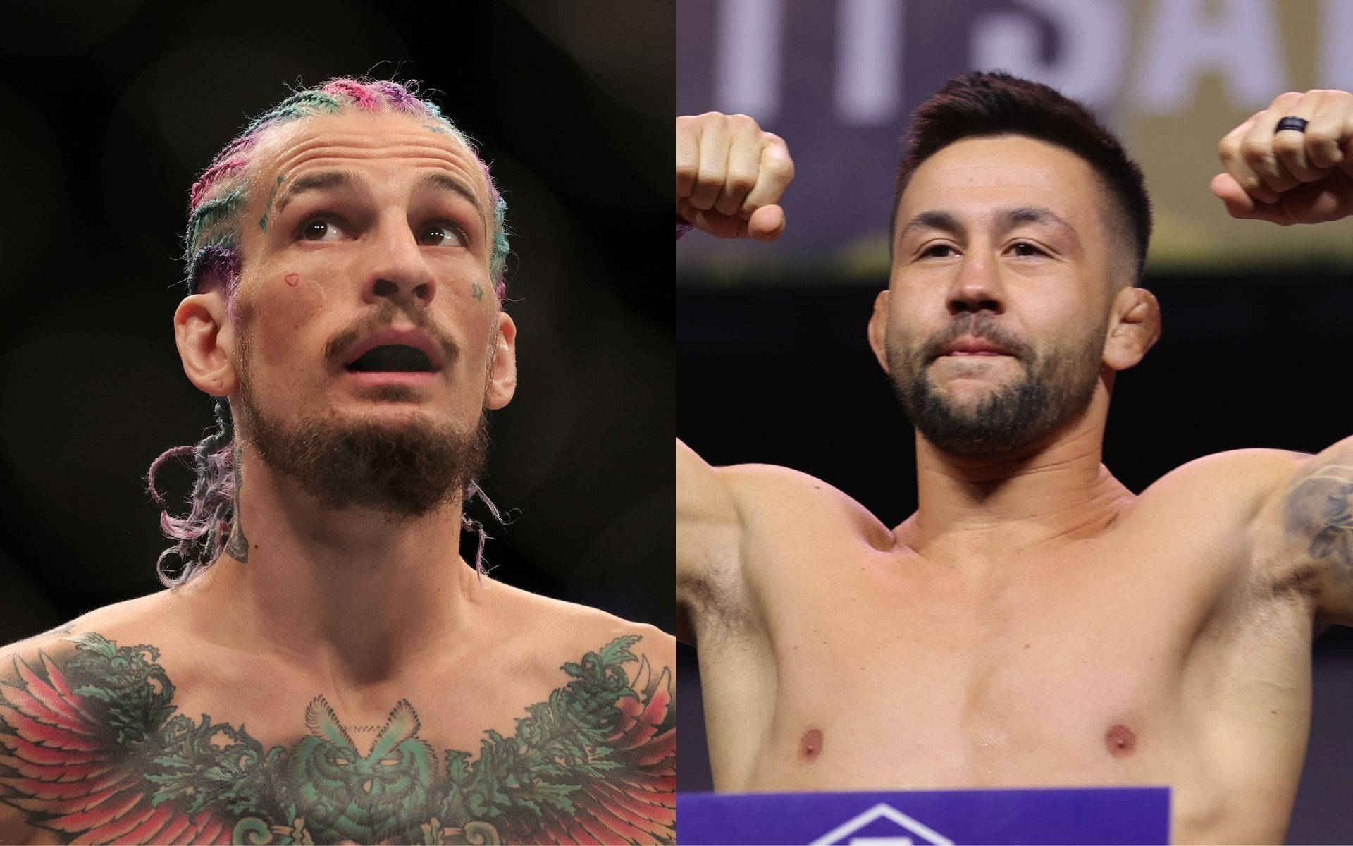 Pedro Munhoz, split-screen shot, colorful hair, Full HD Desktop Wallpaper