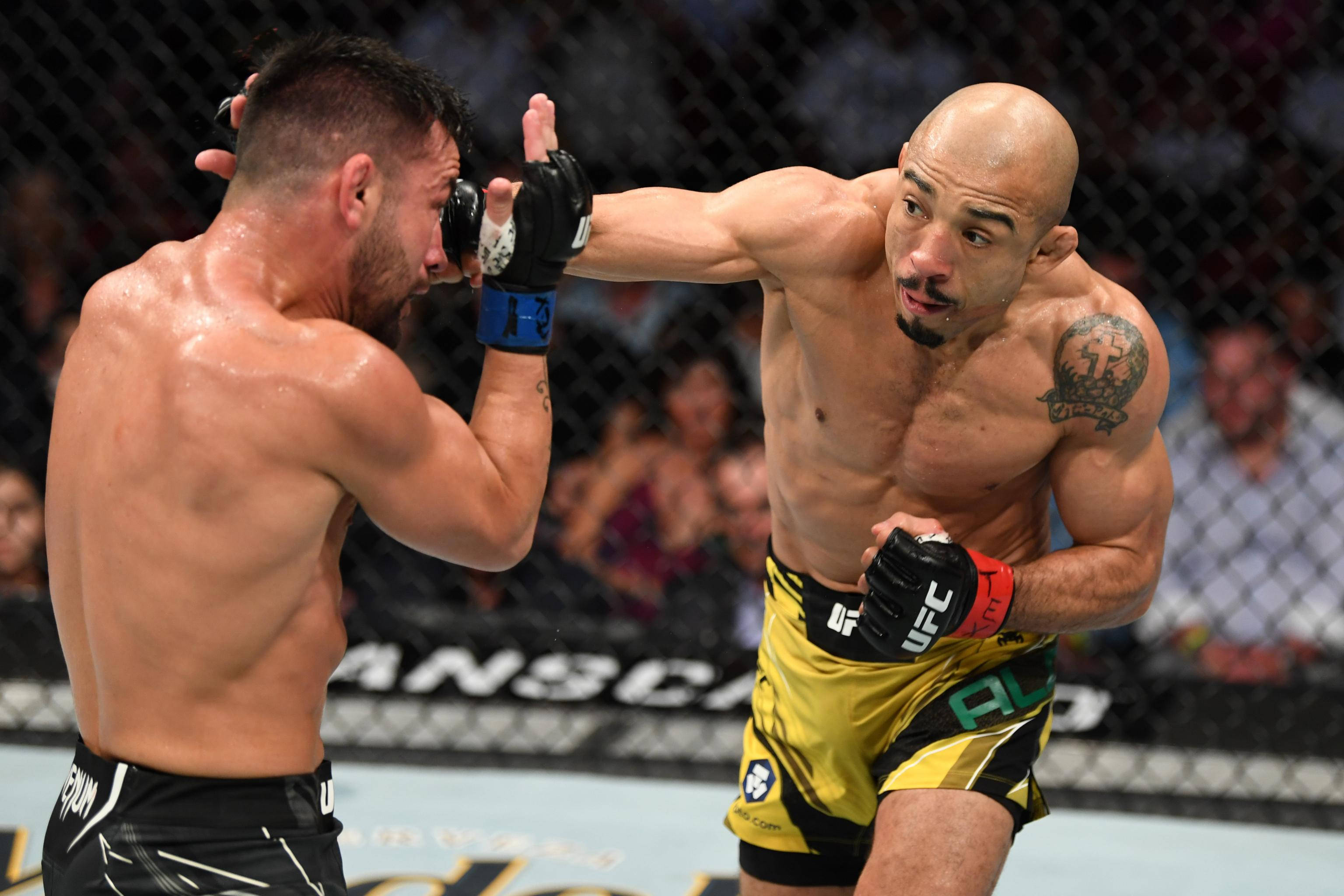 Pedro Munhoz, MMA fight, cage match, 2K Desktop Wallpaper