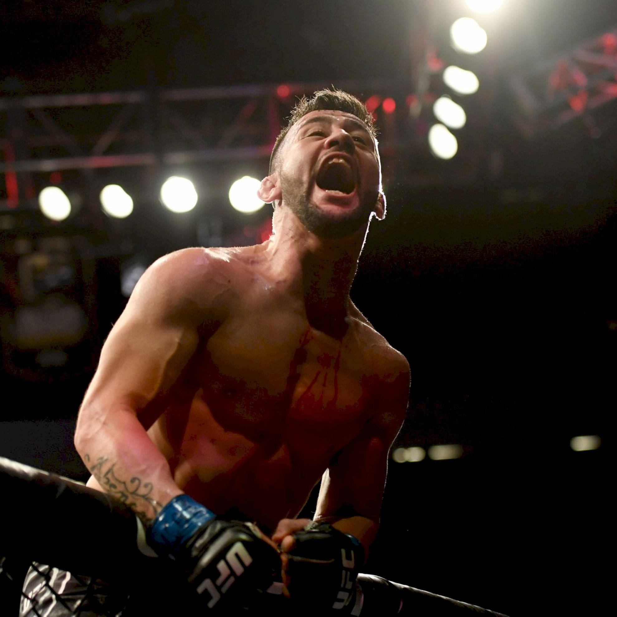 Pedro Munhoz, MMA fighter, cage, Full HD Desktop Wallpaper