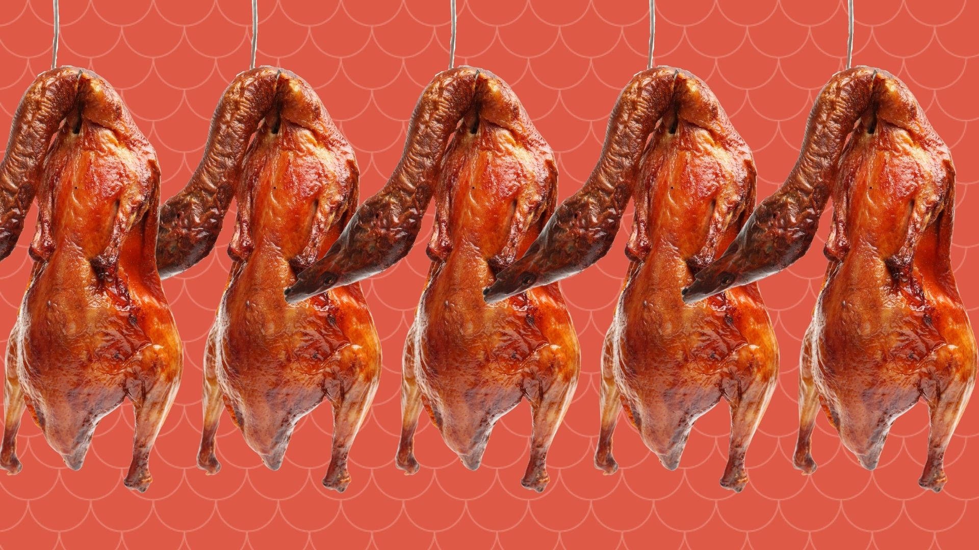 Peking Duck, roasted ducks, coral red scalloped background, Full HD Desktop Wallpaper
