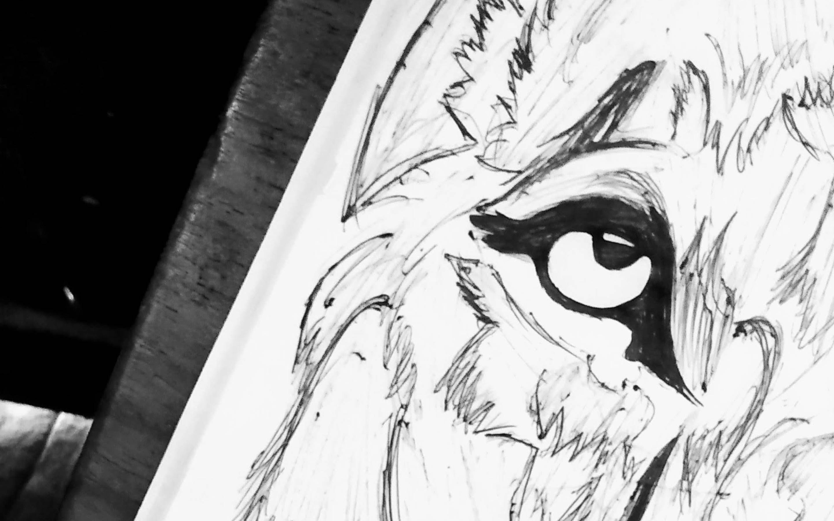 fox, intense eye, detailed fur strokes, 2K Desktop Wallpaper