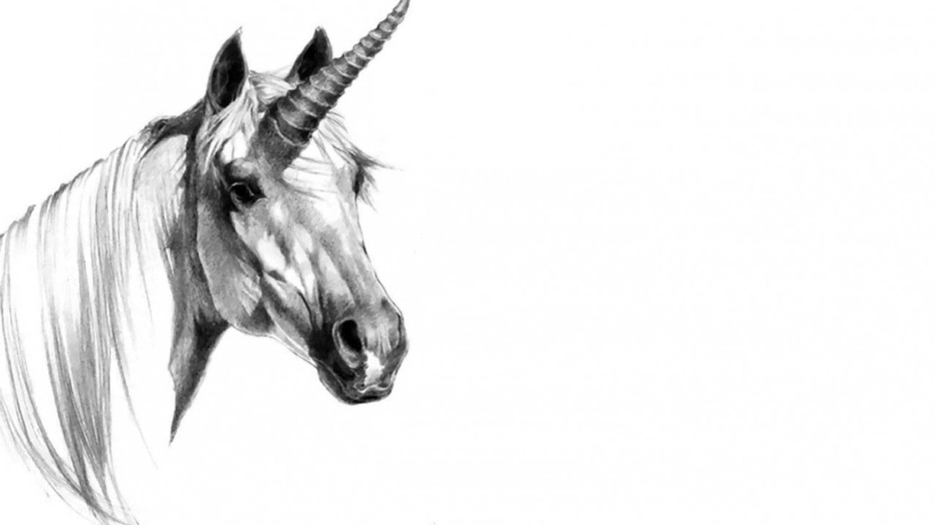 unicorn, pencil sketch, spiraled horn, Full HD Desktop Wallpaper