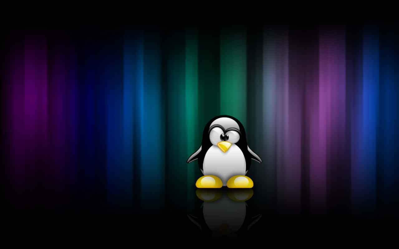 Penguin Tux, reflective black stage, vibrant gradient curtain, HD Desktop Wallpaper