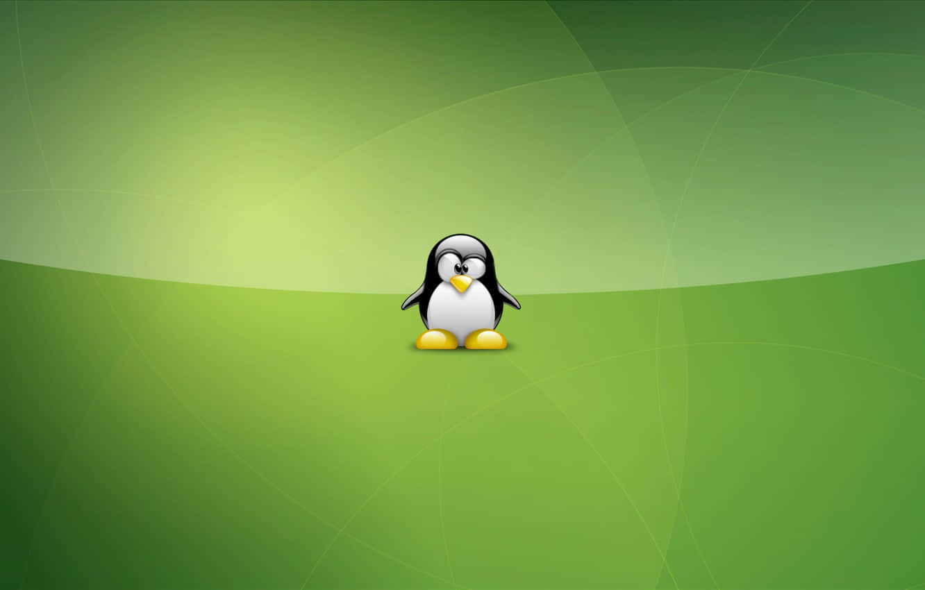 Penguin Tux, yellow feet, gradient green background, HD Desktop Wallpaper