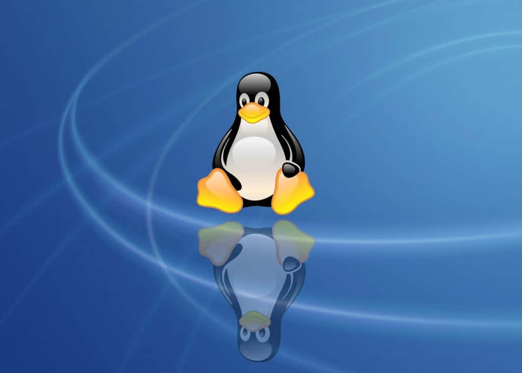 Penguin Tux, yellow beak, yellow feet, SD Desktop Wallpaper