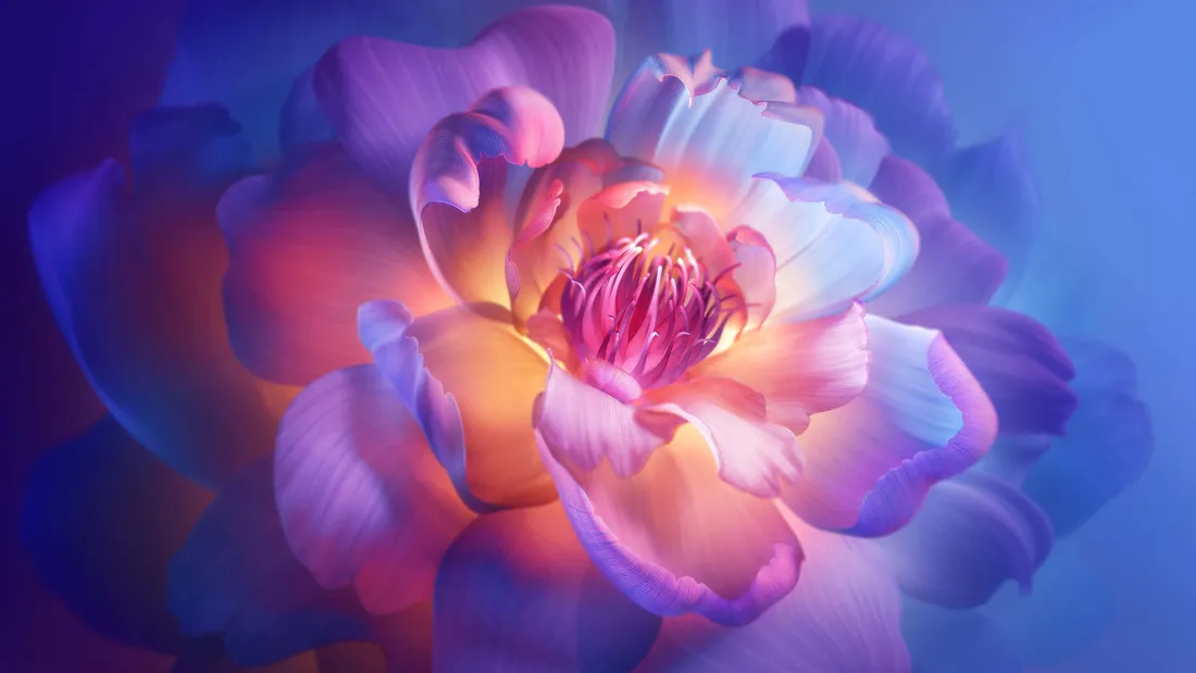 Peony Aesthetic