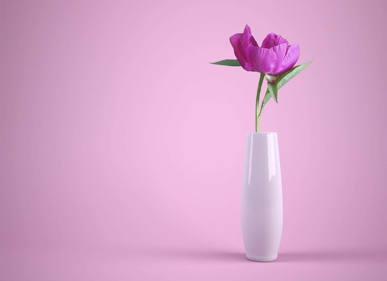 single peony, white vase, vibrant purple peony, HD Desktop Wallpaper