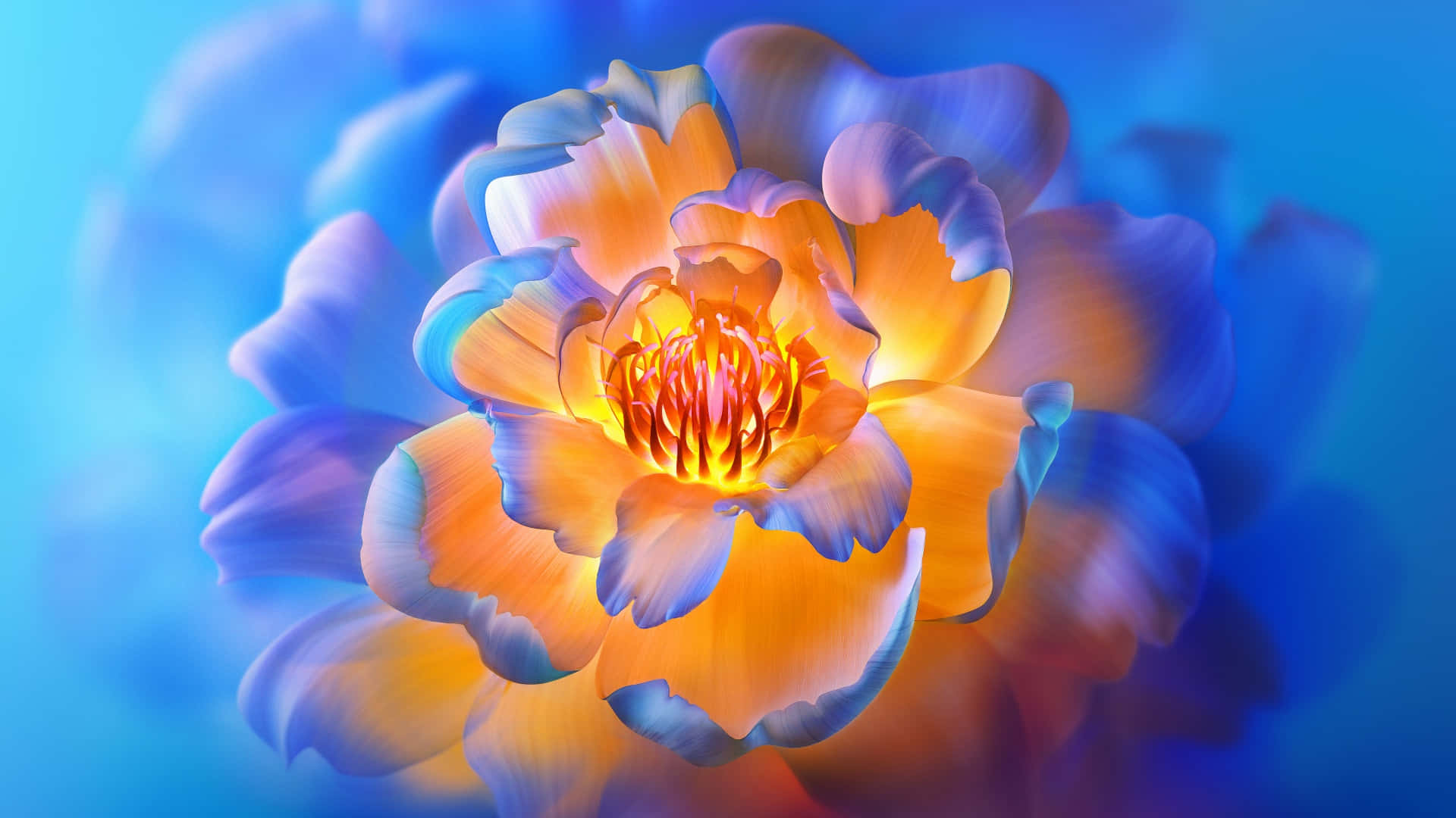 vibrant peony aesthetic, floral backdrop, radiant orange and blue flower, Full HD Desktop Wallpaper