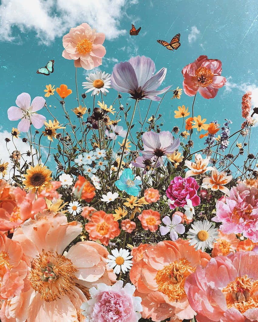 Peony Aesthetic, floral sky, vibrant field of assorted flowers, SD Phone Wallpaper