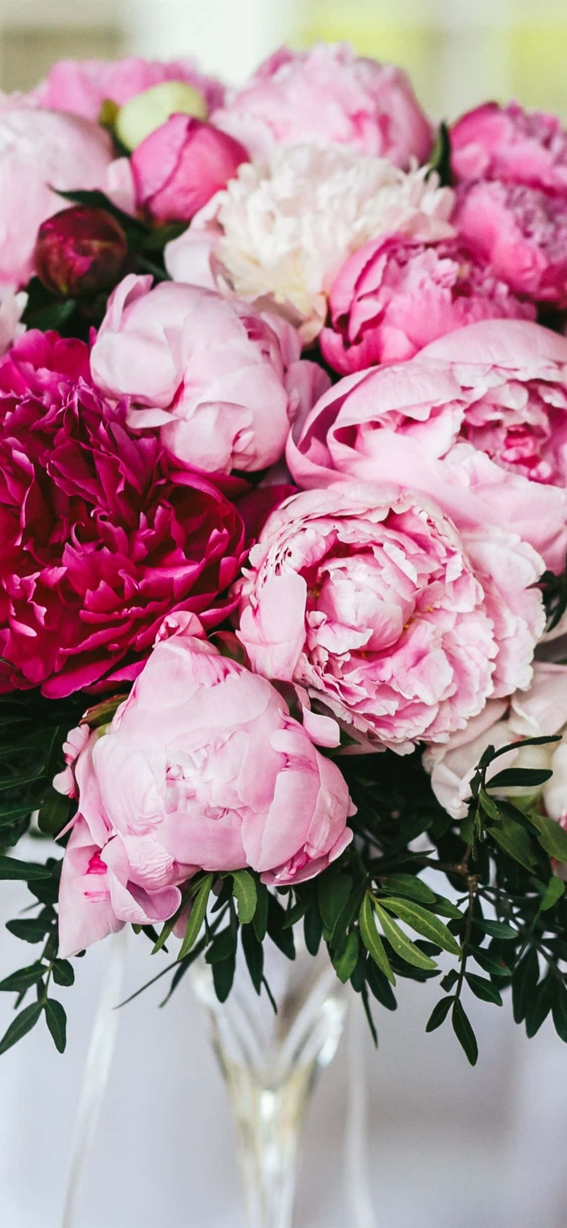 Peony iPhone, vibrant pink, magenta, Full HD Phone Wallpaper
