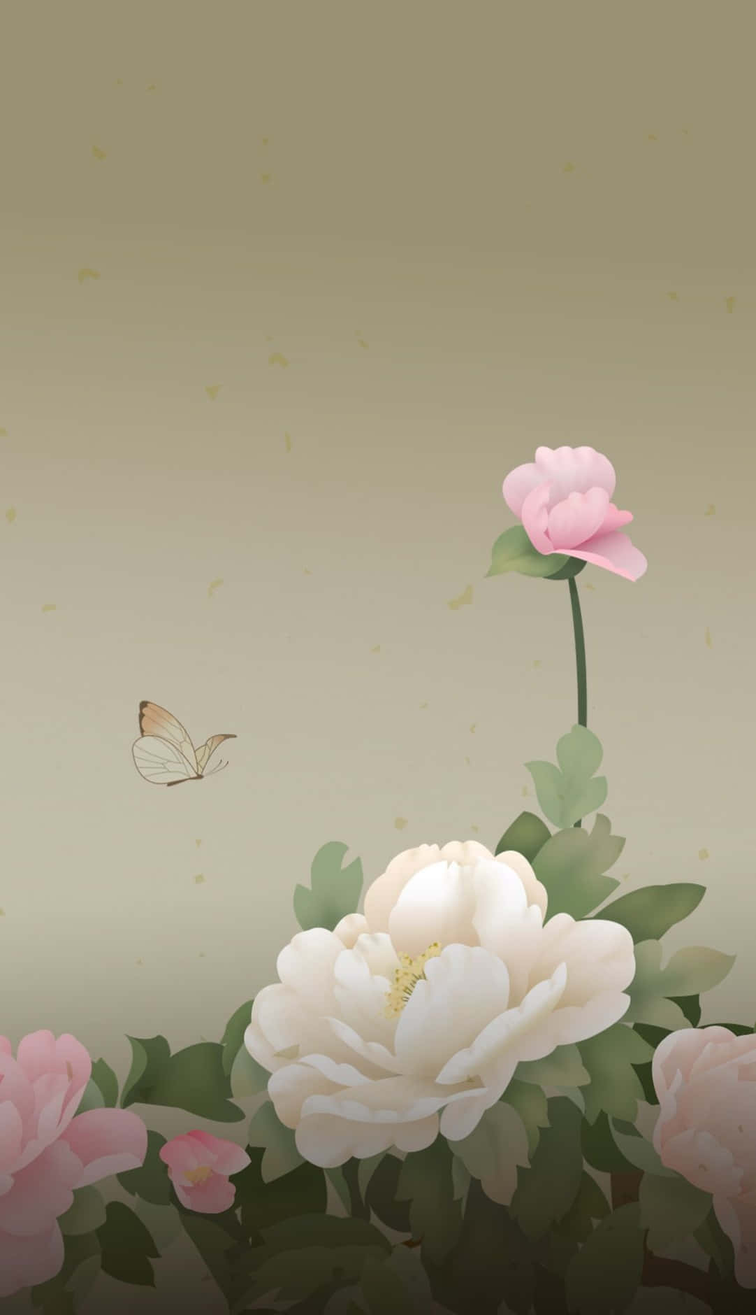 Peony iPhone, white peonies, pink peonies, HD Phone Wallpaper