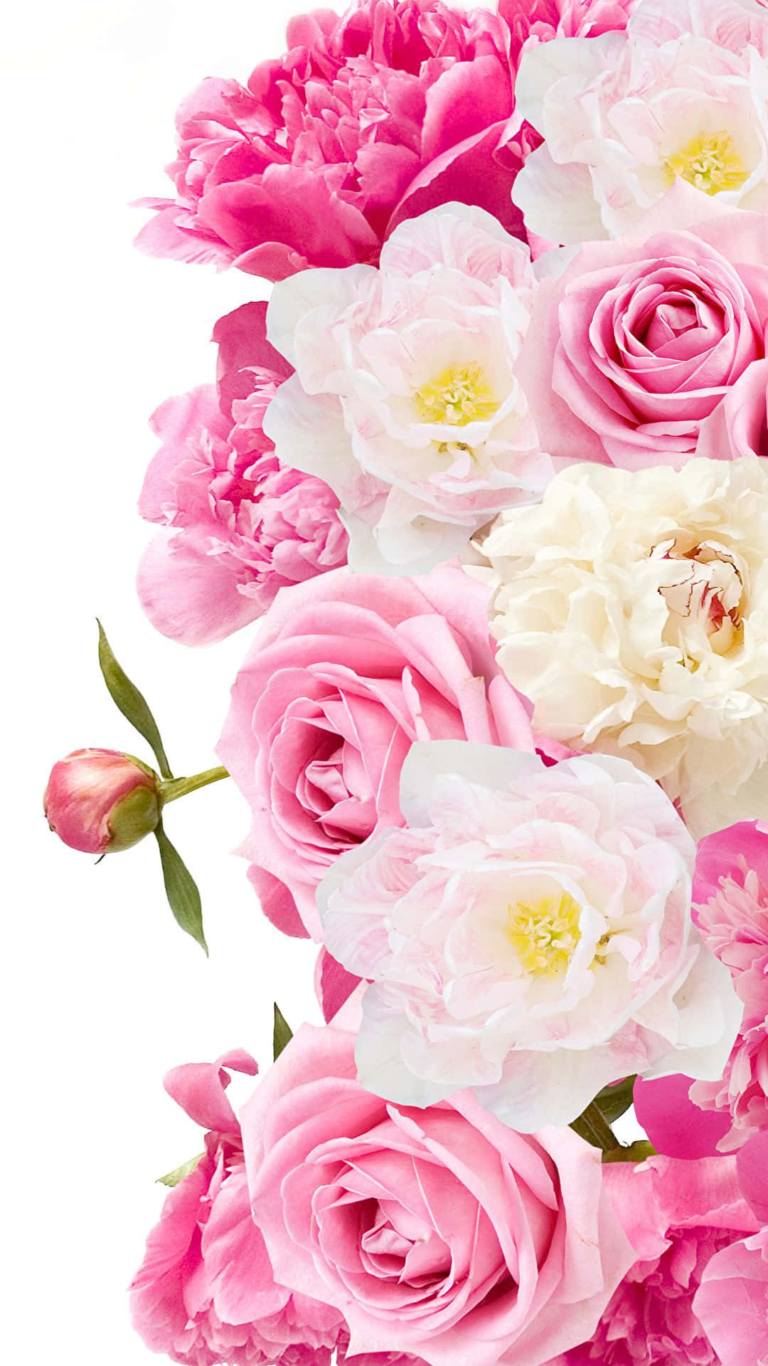 peony, pink peony, iPhone, Full HD Phone Wallpaper