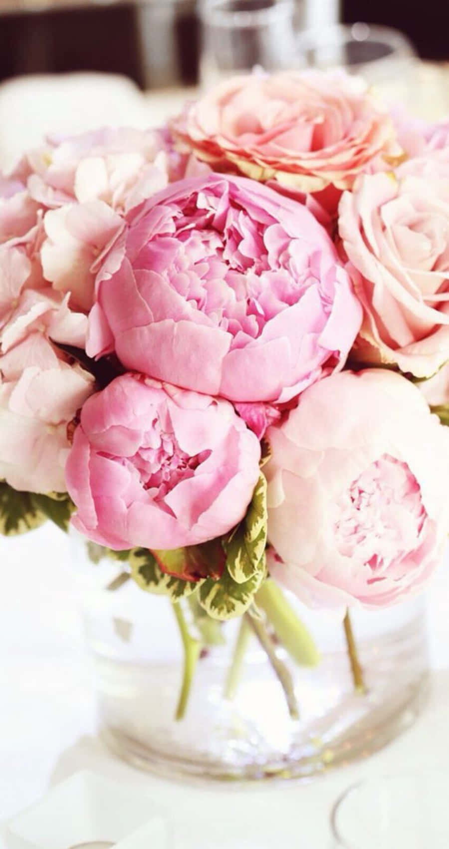 Peony iPhone, pink peonies, roses, HD Phone Wallpaper