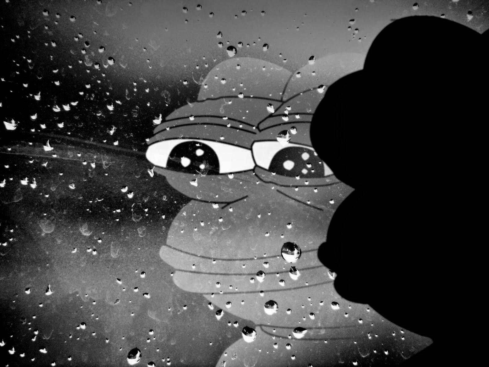 Pepe the Frog, rain-speckled window, dark silhouette, HD Desktop Wallpaper