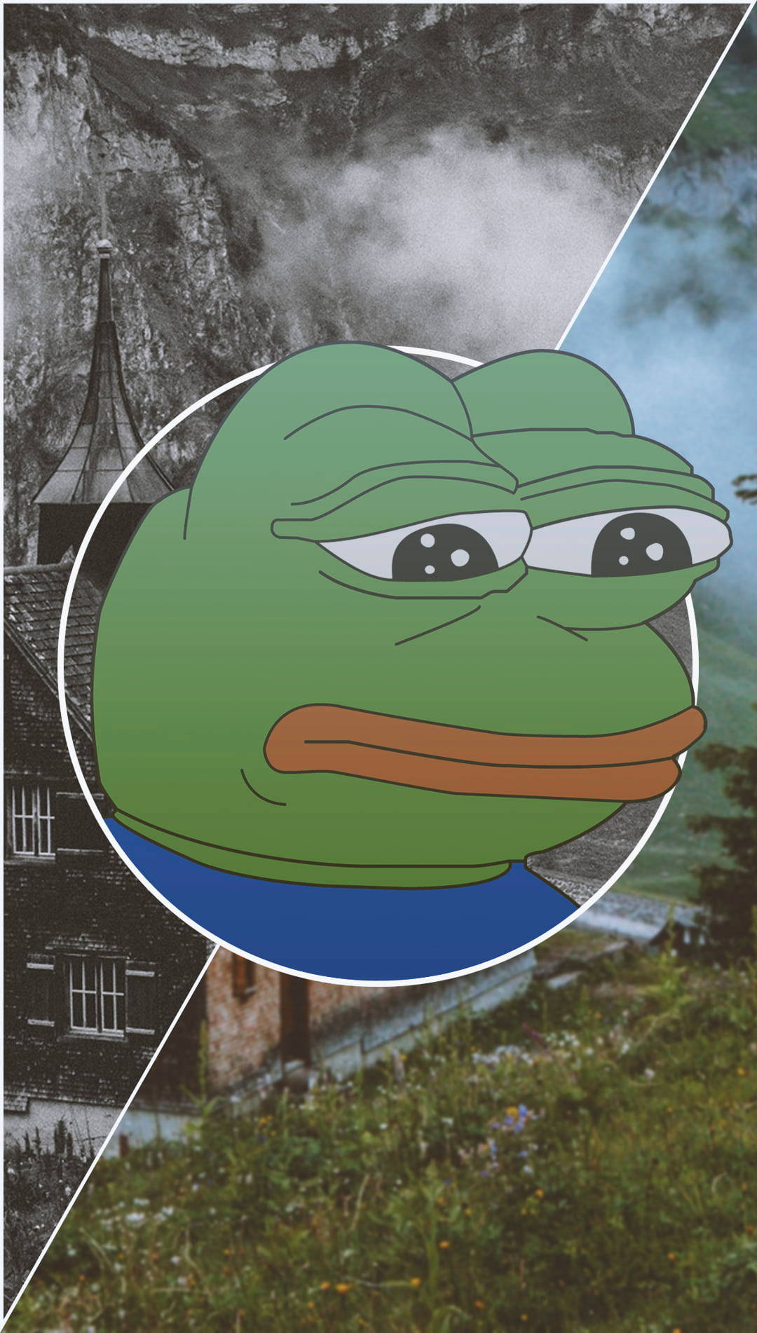 Pepe The Frog, green cartoon frog, sad expression, HD Phone Wallpaper