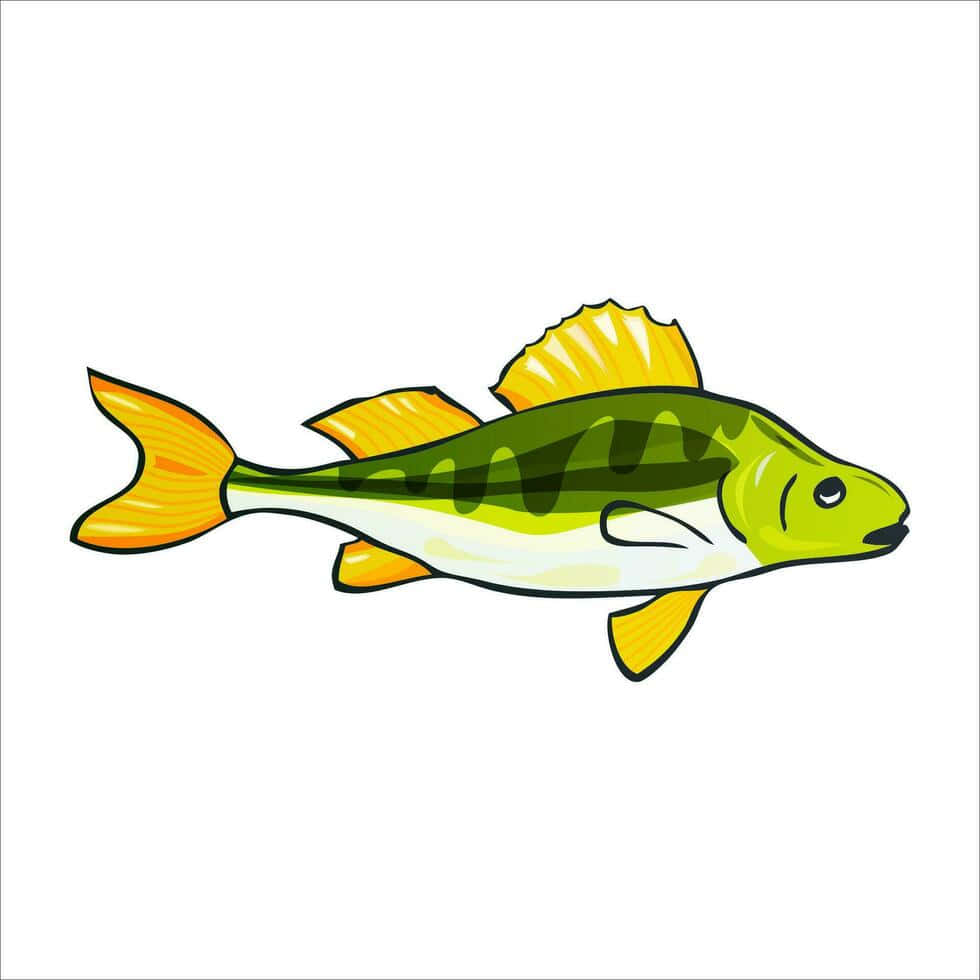 colorful perch illustration, cartoon fish, green body, SD Desktop Wallpaper