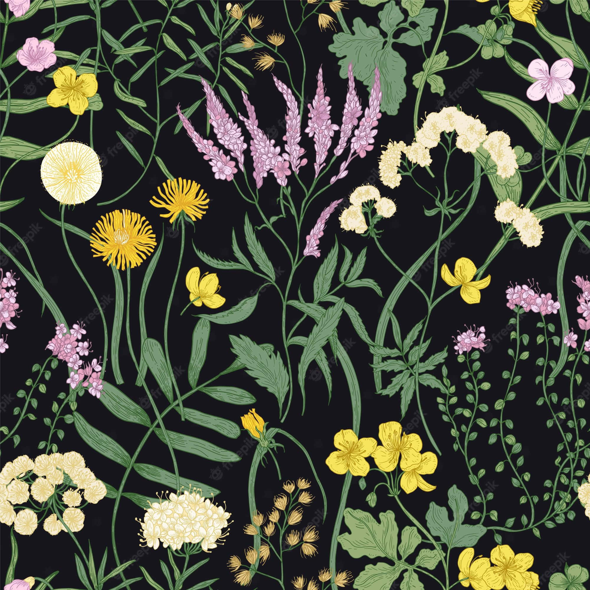 Perennial, yellow, pink, Full HD Desktop Wallpaper