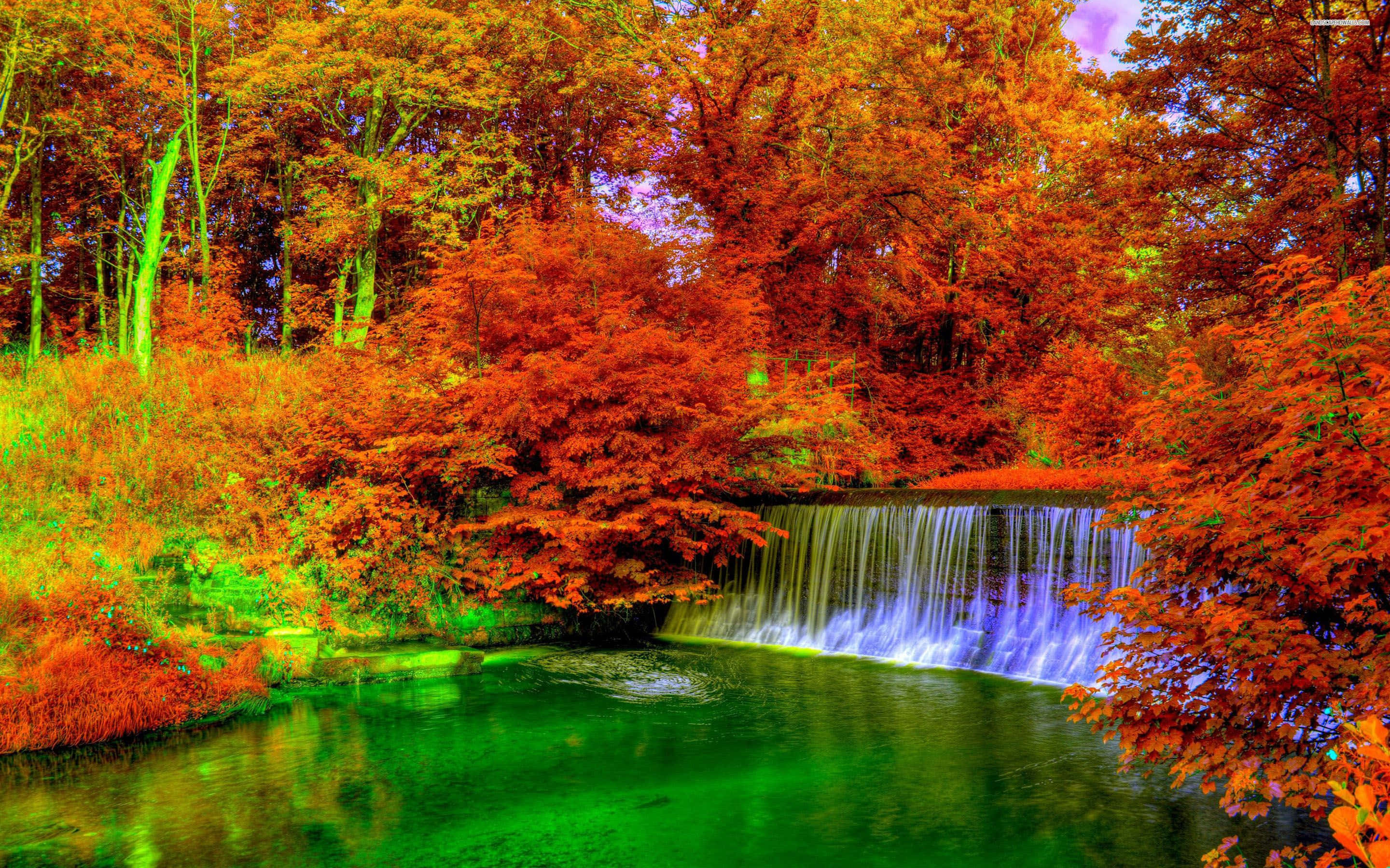 autumn trees, cascading waterfall, vivid green pool, 2K Desktop Wallpaper