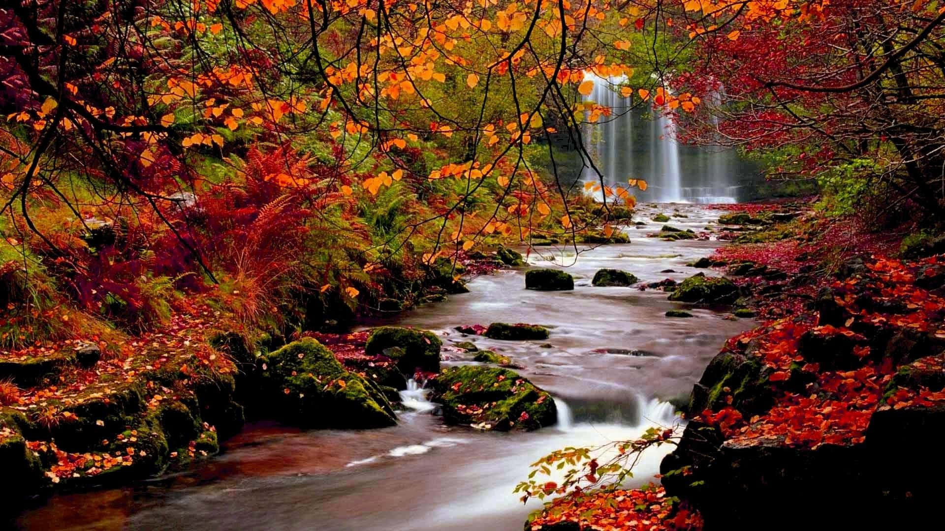 autumn forest, stream, mossy rocks, Full HD Desktop Wallpaper