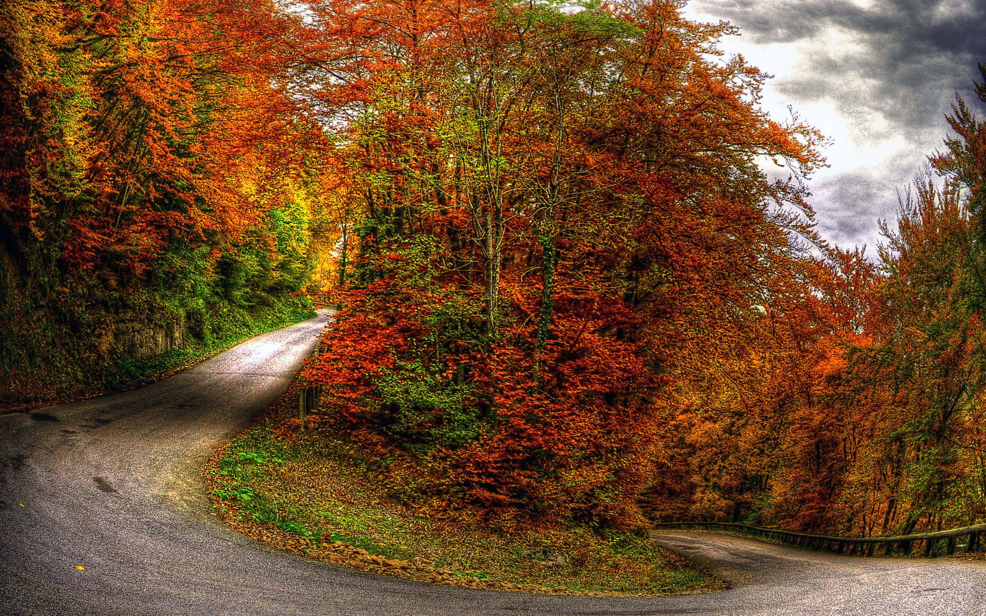 Perfect Fall, winding road, dense forest, Full HD Desktop Wallpaper