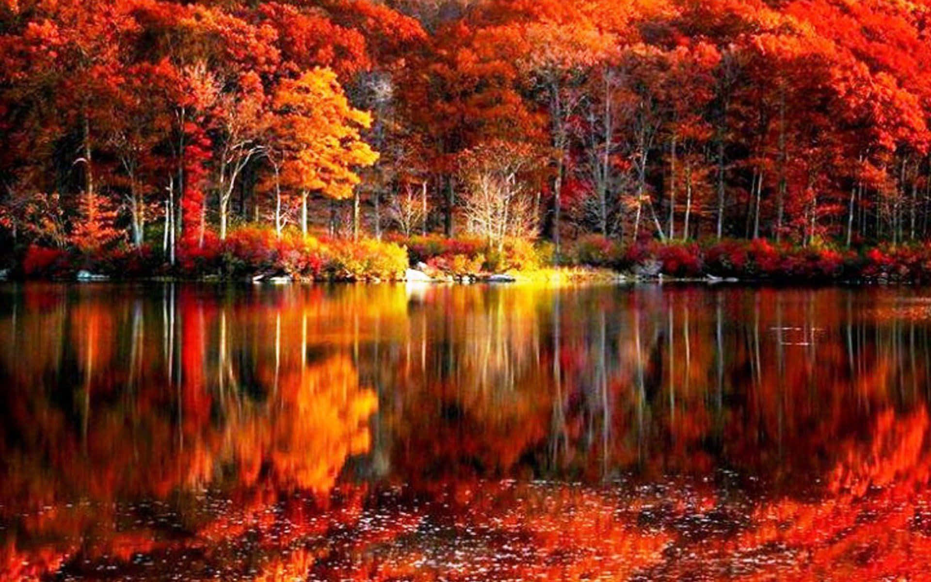 Perfect Fall, fiery red orange leaves, calm lake, Full HD Desktop Wallpaper