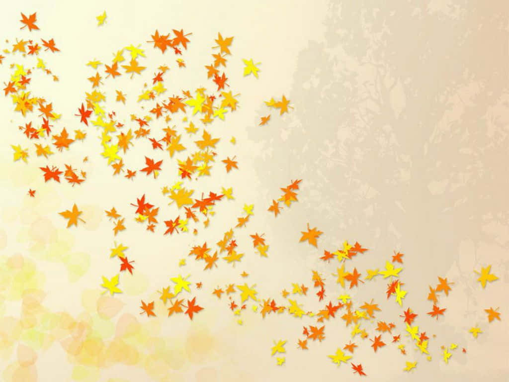 orange, yellow, maple leaves, SD Desktop Wallpaper