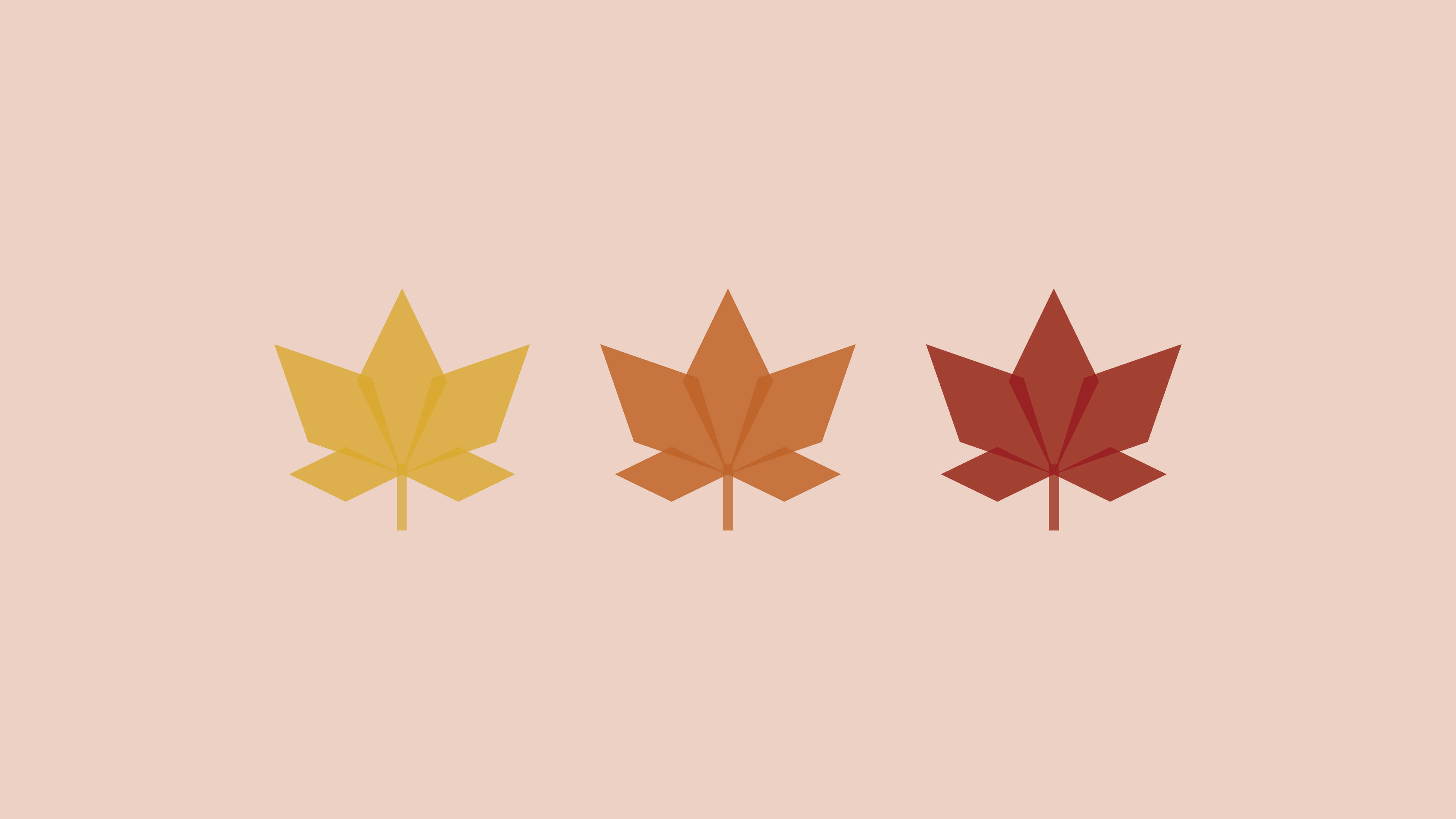 pink fall 4801 x 2701, maple leaves, yellow orange, 4K Desktop Wallpaper