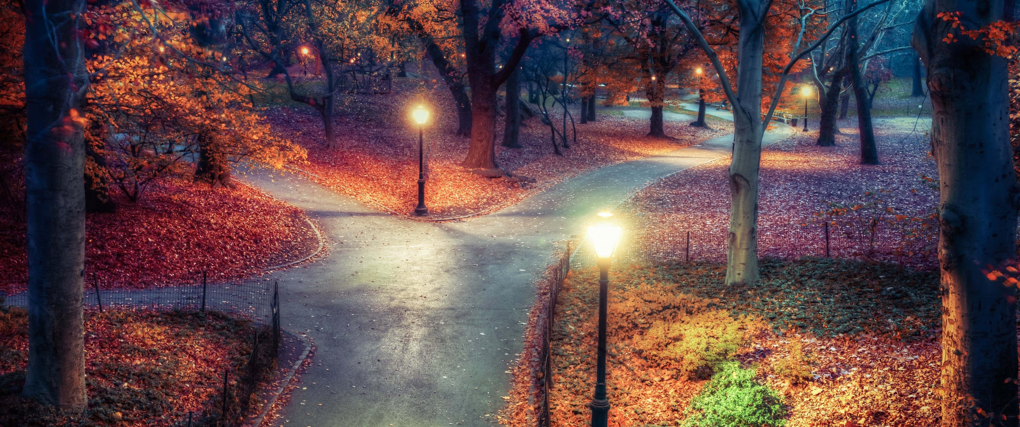 3440x1440, fall, winding park path, 2K Desktop Wallpaper