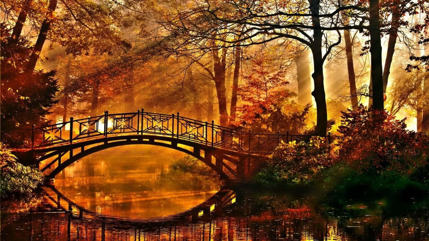 wooden arched bridge, misty autumn pond, fiery orange and gold foliage, HD Desktop Wallpaper