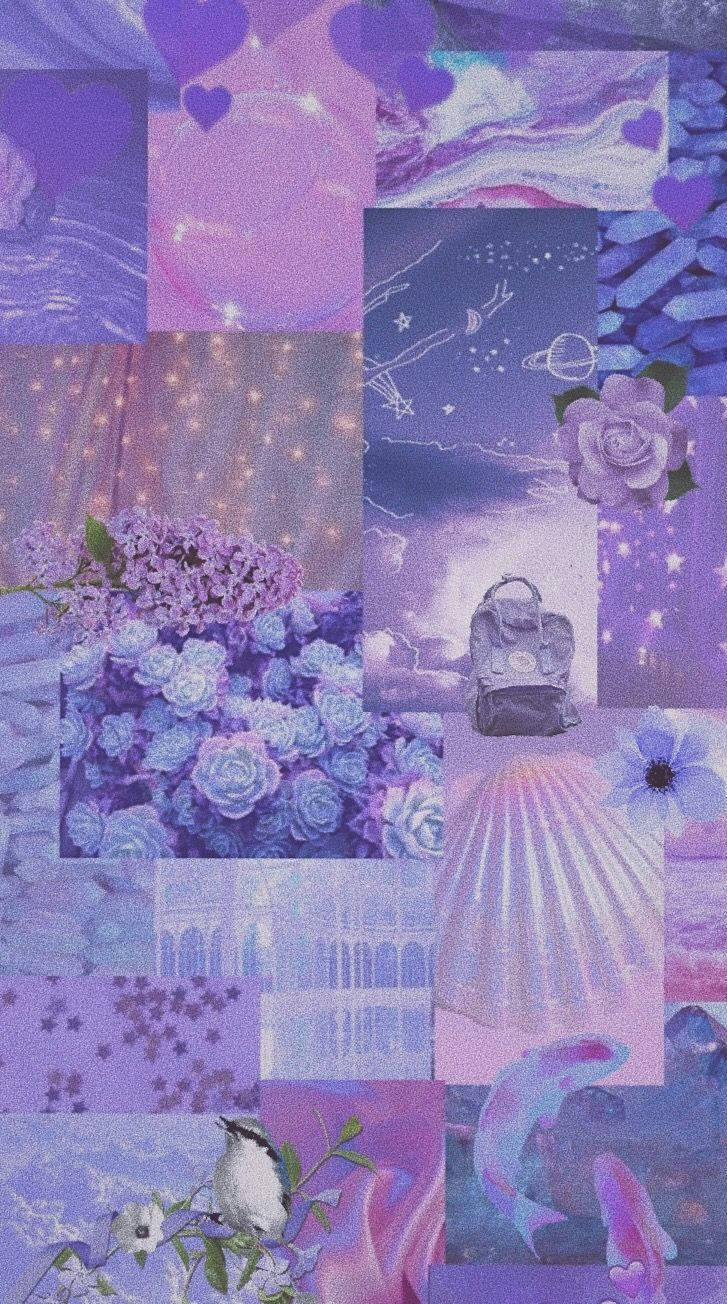 Periwinkle, purple, flowers, HD Phone Wallpaper