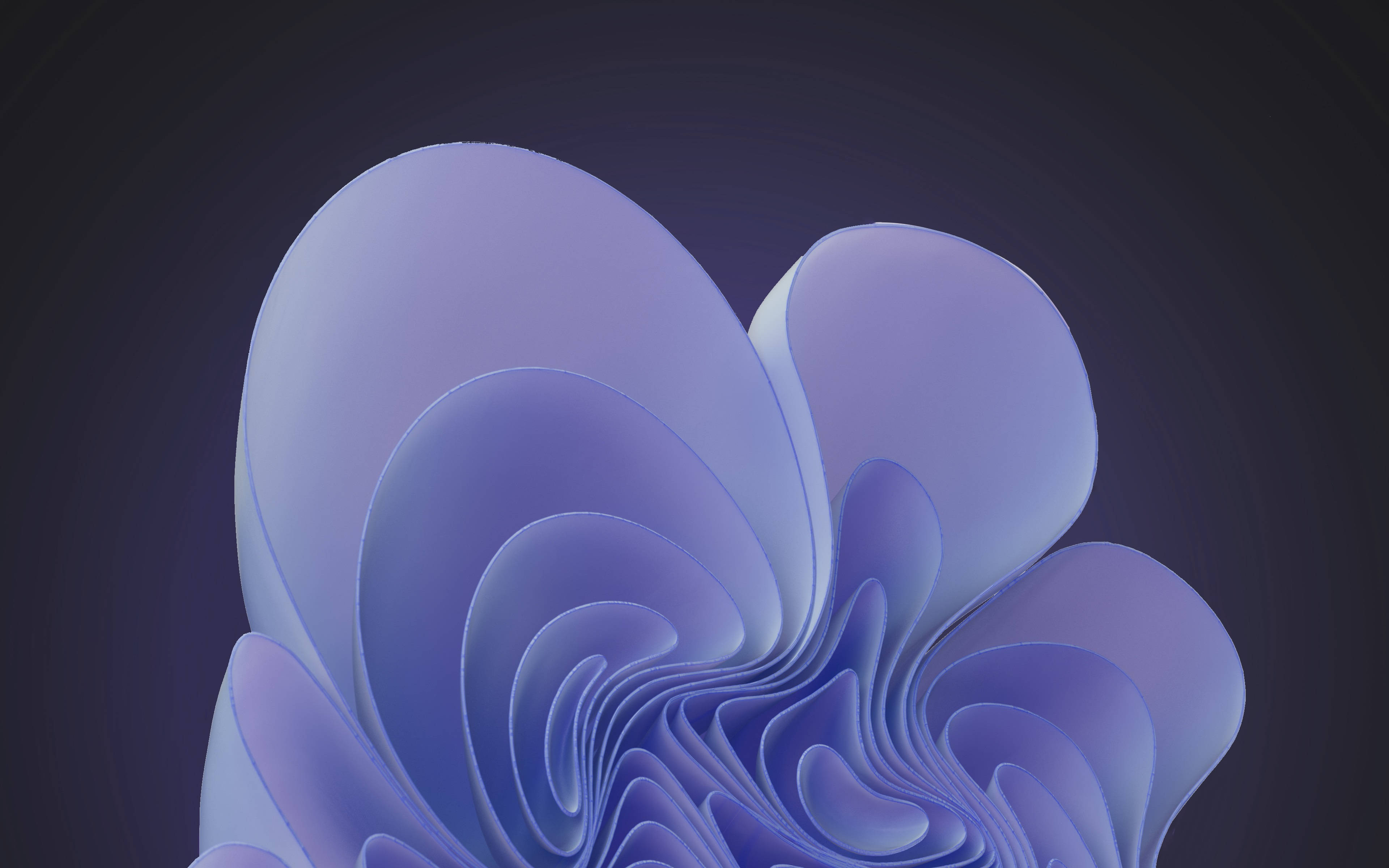 Periwinkle, Windows 11 Bloom Dark, lavender, 4K Desktop Wallpaper