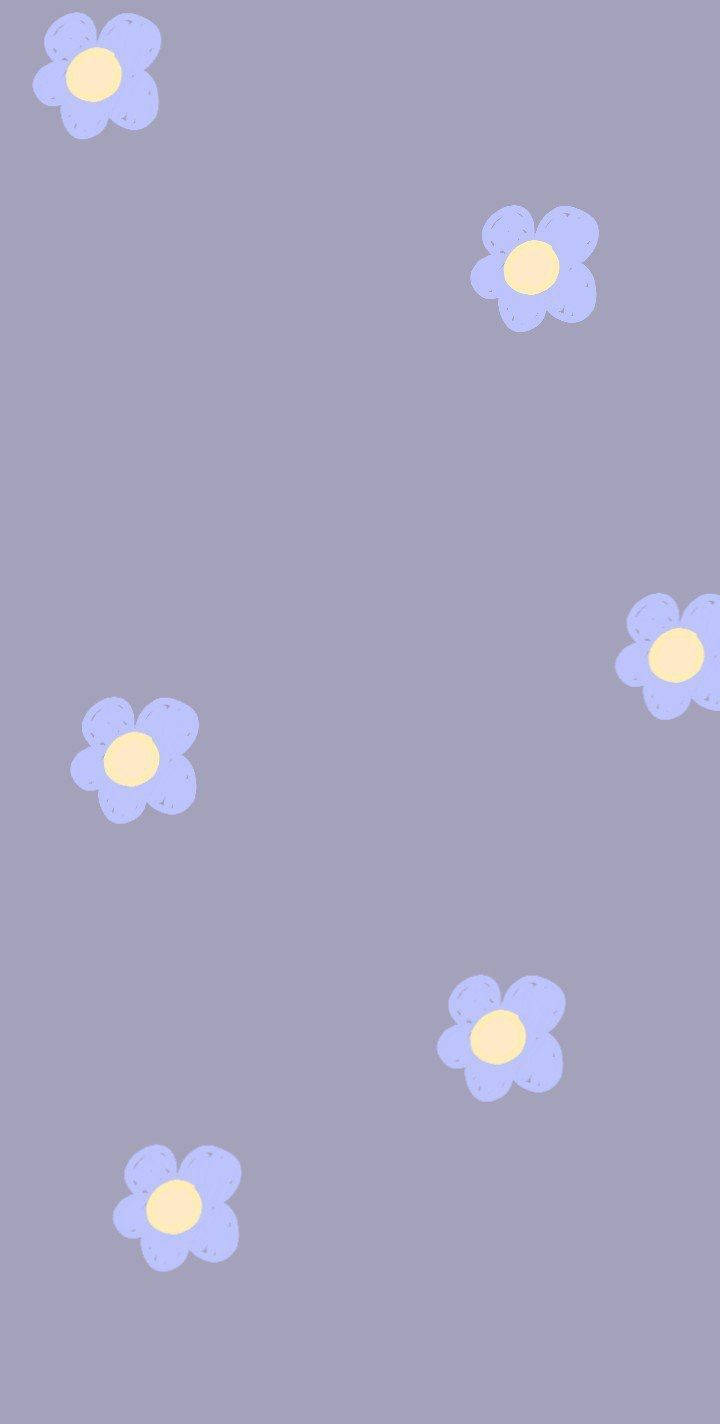 Periwinkle, lavender, light blue, HD Phone Wallpaper