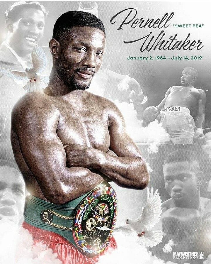 Pernell Whitaker, championship belt, white doves, SD Phone Wallpaper