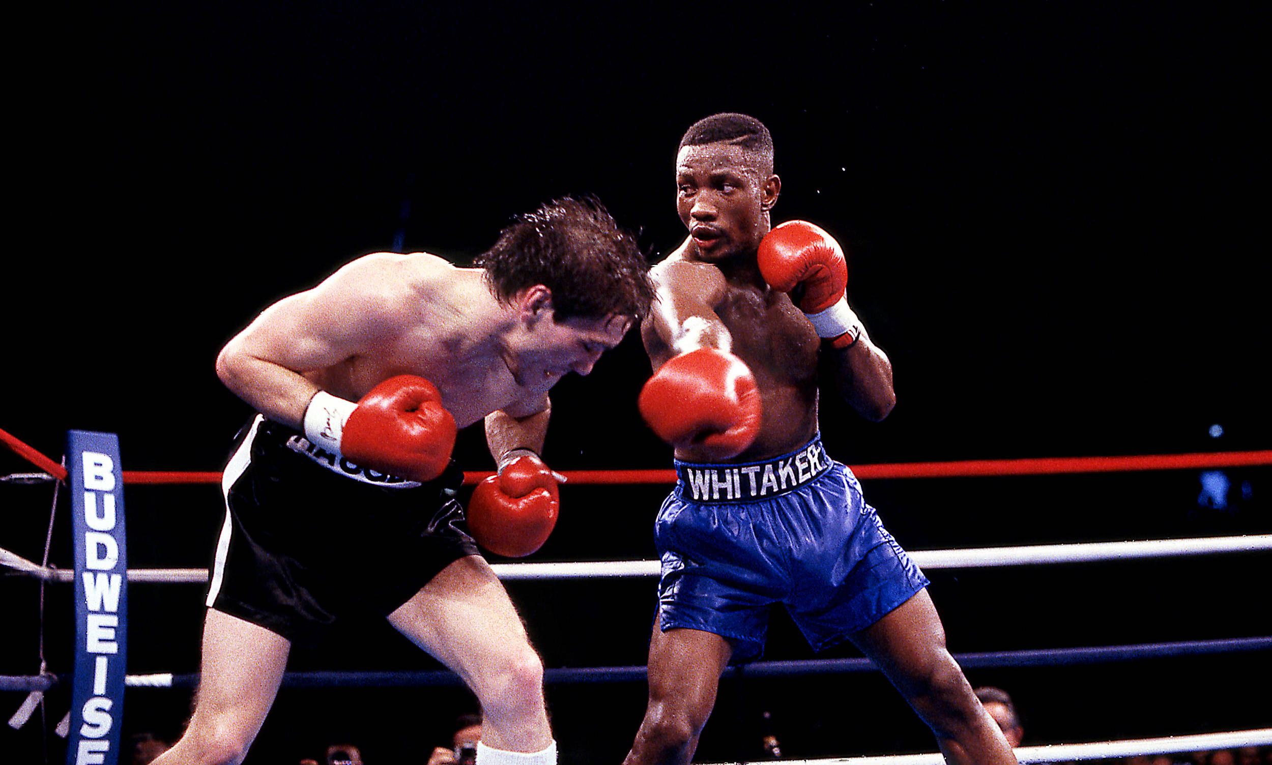 Pernell Whitaker, sliding punch, black shorts, Full HD Desktop Wallpaper