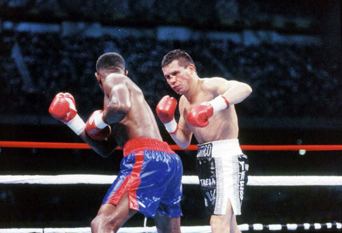 Pernell Whitaker, right hook, rain-slicked ring, SD Desktop Wallpaper