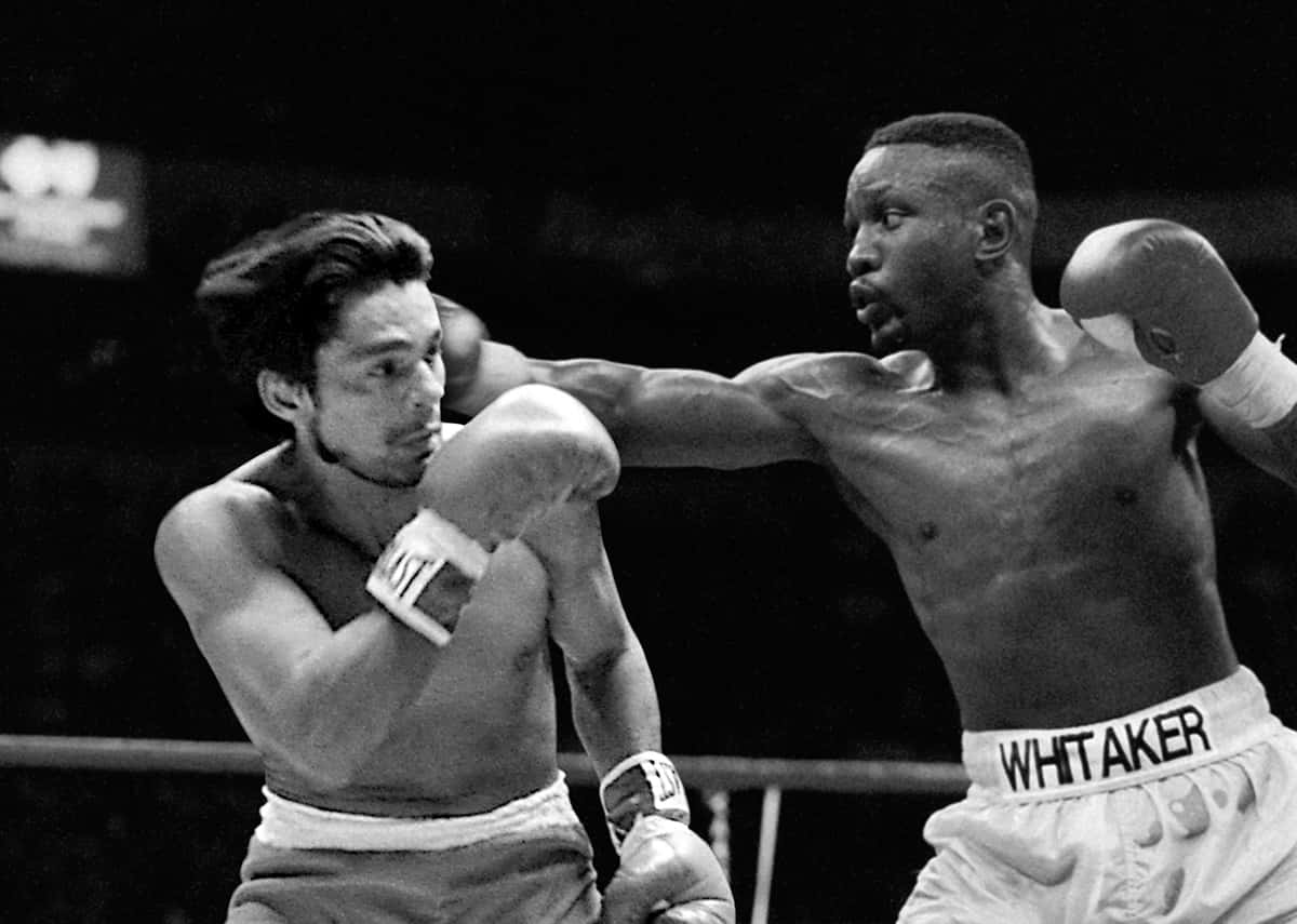 Pernell Whitaker, ring, black and white, SD Desktop Wallpaper