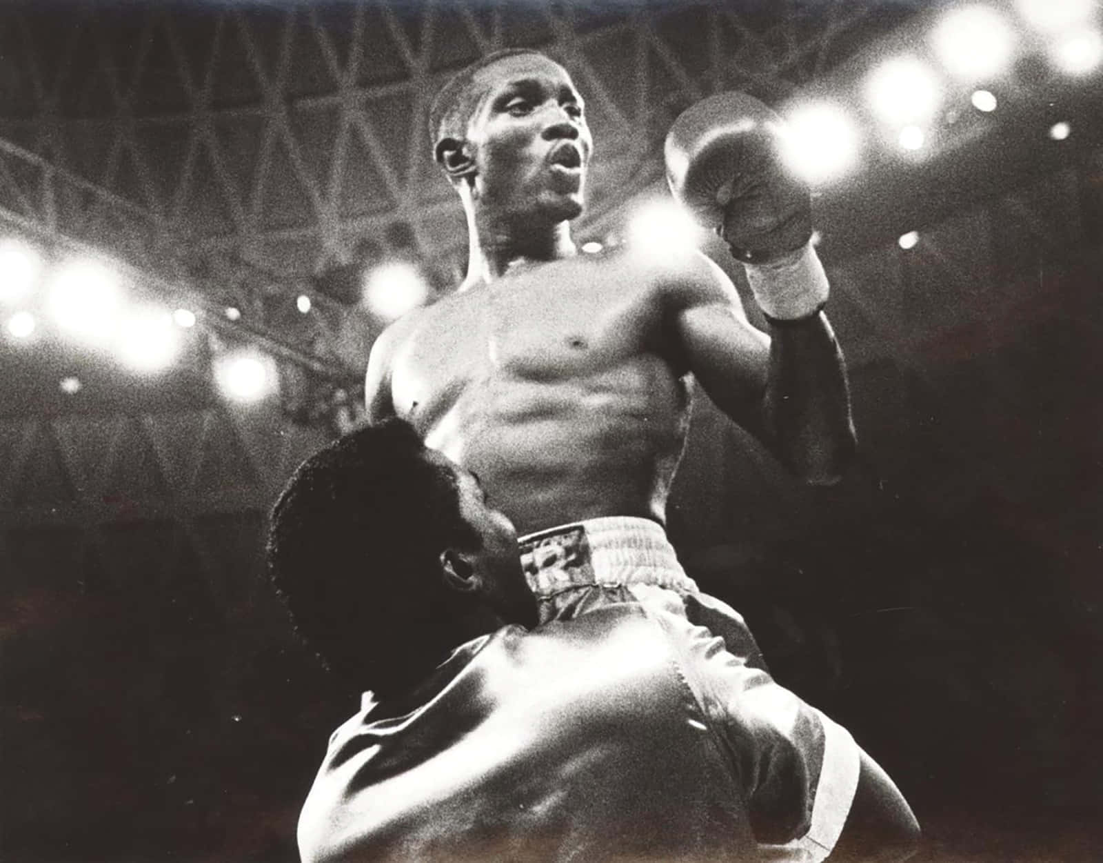 Pernell Whitaker, ring, arena lights, HD Desktop Wallpaper