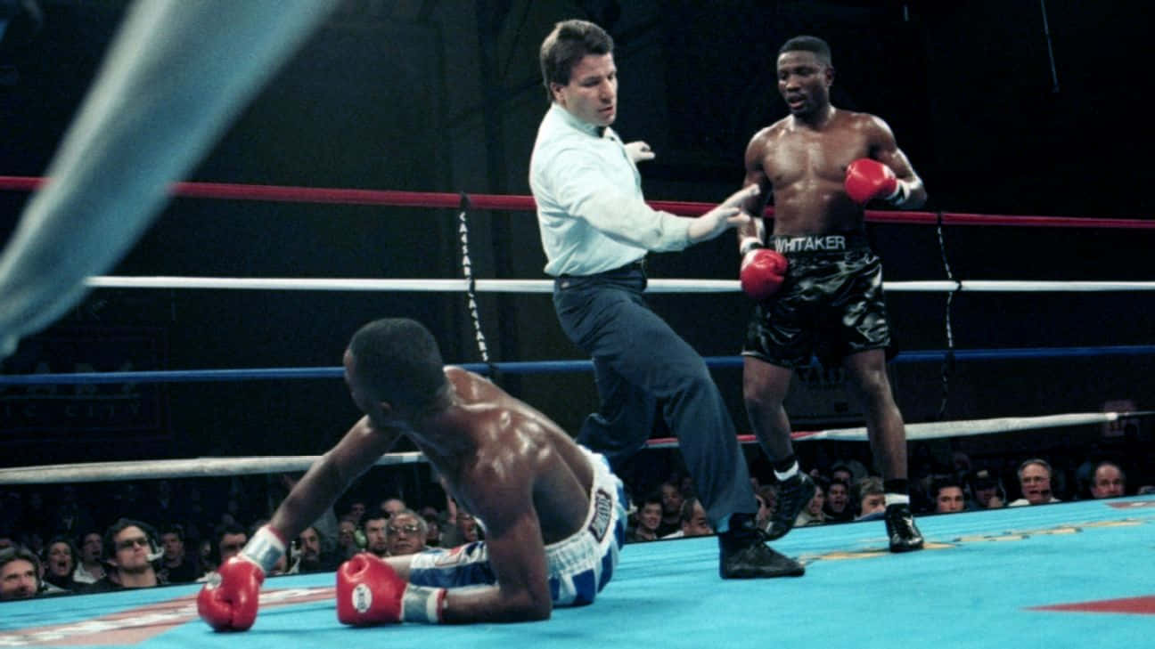 Pernell Whitaker, opponent, ring fight, HD Desktop Wallpaper