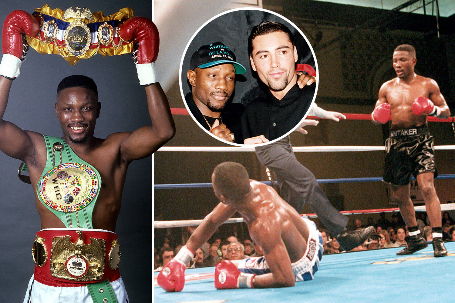 Pernell Whitaker, championship belts, ring, HD Desktop Wallpaper