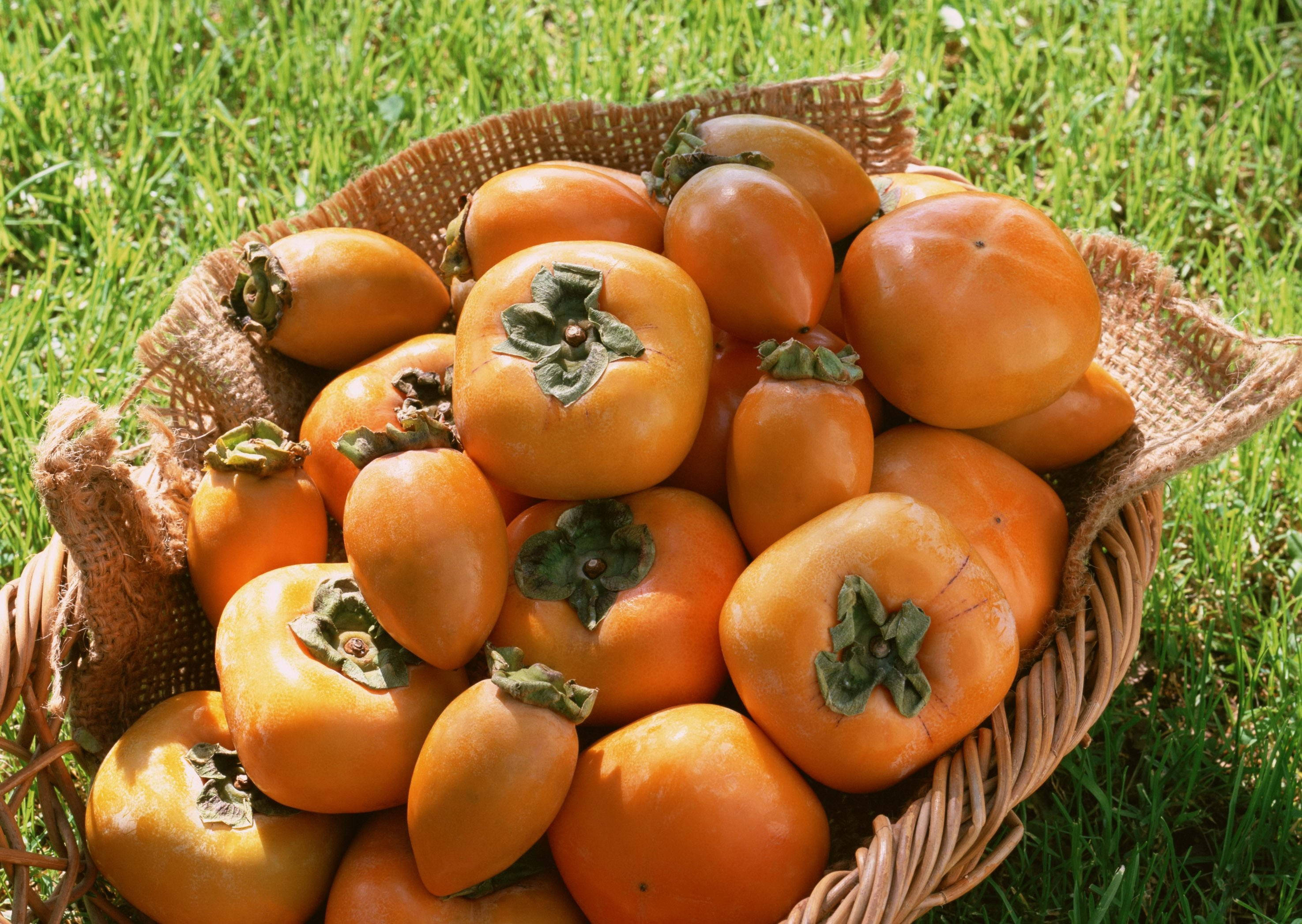 persimmon fruits, woven basket, orange persimmons, 2K Desktop Wallpaper