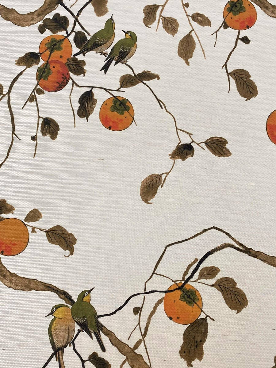 persimmon tree, green birds, orange persimmons, SD Phone Wallpaper